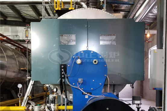 五洲豐農業(yè)10噸WNS系列冷凝式天然氣蒸汽鍋爐項目